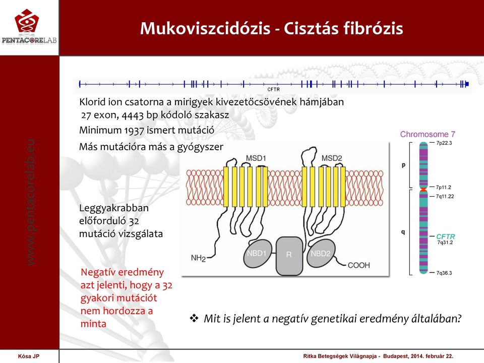 gyógyszer Leggyakrabban előforduló 32 mutáció vizsgálata Negatív eredmény azt jelenti,