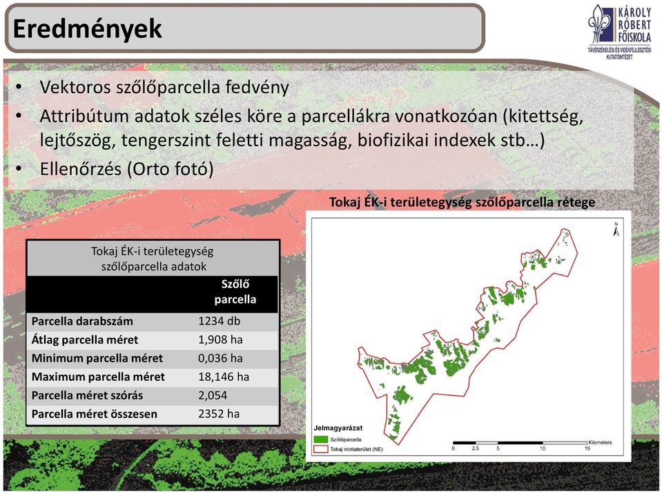 rétege Parcella darabszám Átlag parcella méret Tokaj ÉK-i területegység szőlőparcella adatok Szőlő parcella Minimum