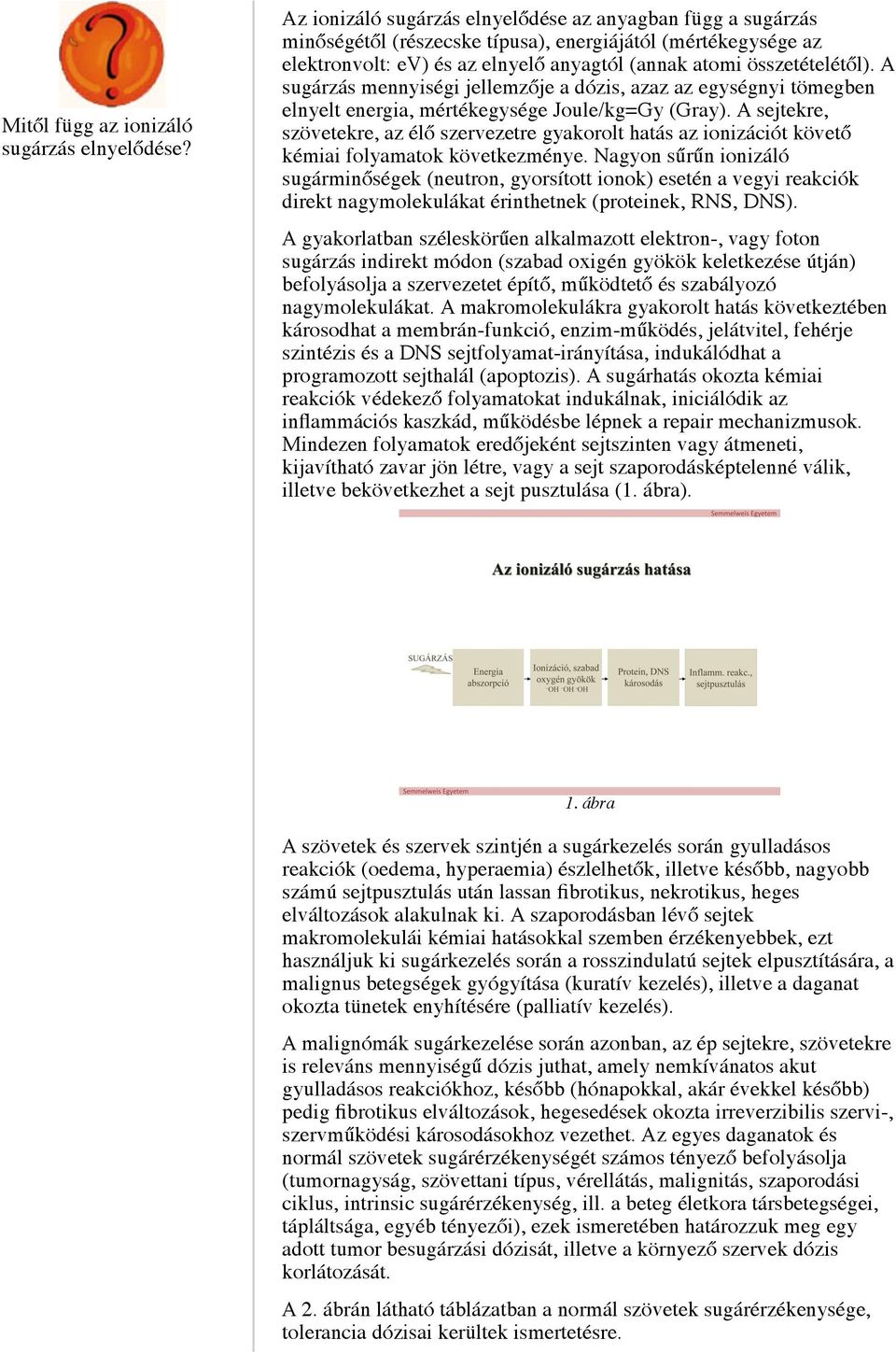 A sugárzás mennyiségi jellemzője a dózis, azaz az egységnyi tömegben elnyelt energia, mértékegysége Joule/kg=Gy (Gray).