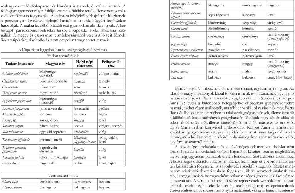 A kettévágott paradicsomot kelésekre teszik, a káposzta levelét lábfájásra használják. A meggy és cseresznye ából vesetisztító teát főznek.