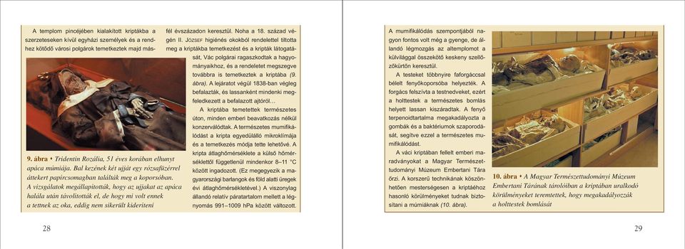 szerzeteseken kívül egyházi személyek és a rendhez kötôdô városi polgárok temetkeztek majd másfél évszázadon keresztül. Noha a 18. század végén II.