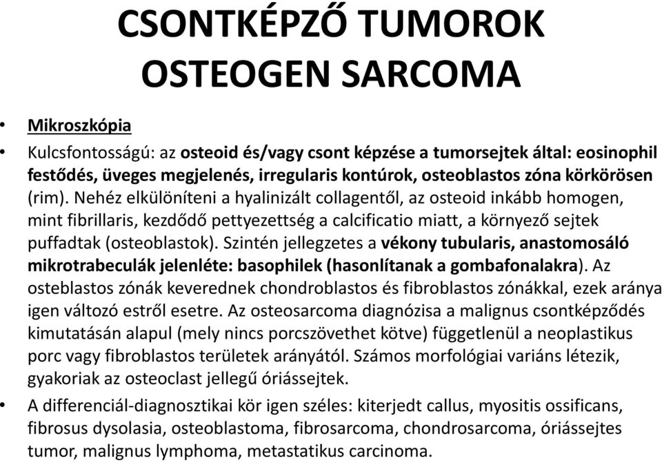 Szintén jellegzetes a vékony tubularis, anastomosáló mikrotrabeculák jelenléte: basophilek (hasonlítanak a gombafonalakra).