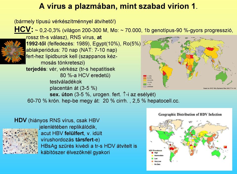 (szappanos kézmosás tönkreteszi) terjedés: vér, vérkész (tr-s hepatitisek 80 %-a HCV eredetű) testváladékok placentán át (3-5 %) sex. úton (3-5 %, urogen. fert.