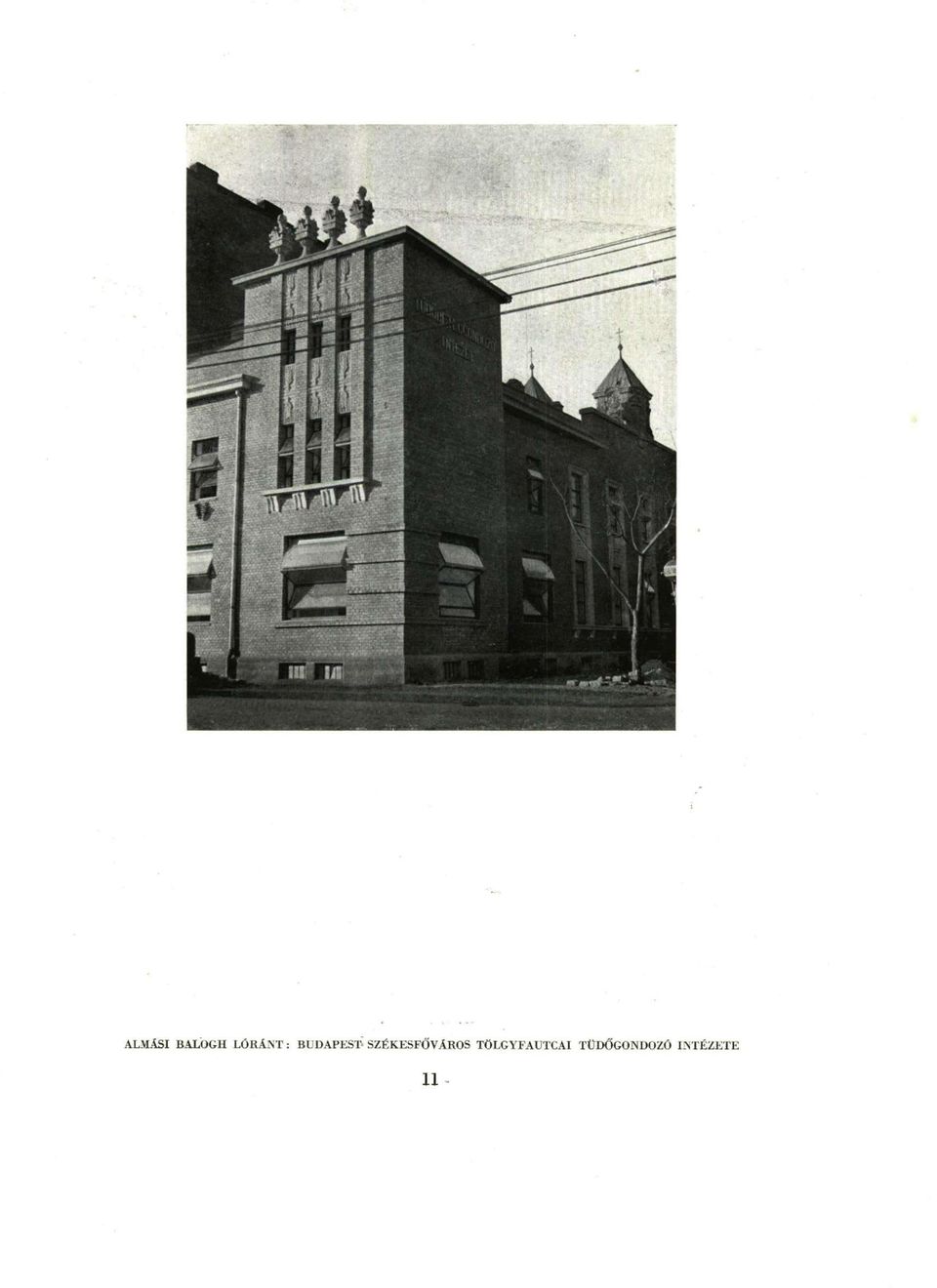 SZÉKESFŐVÁROS