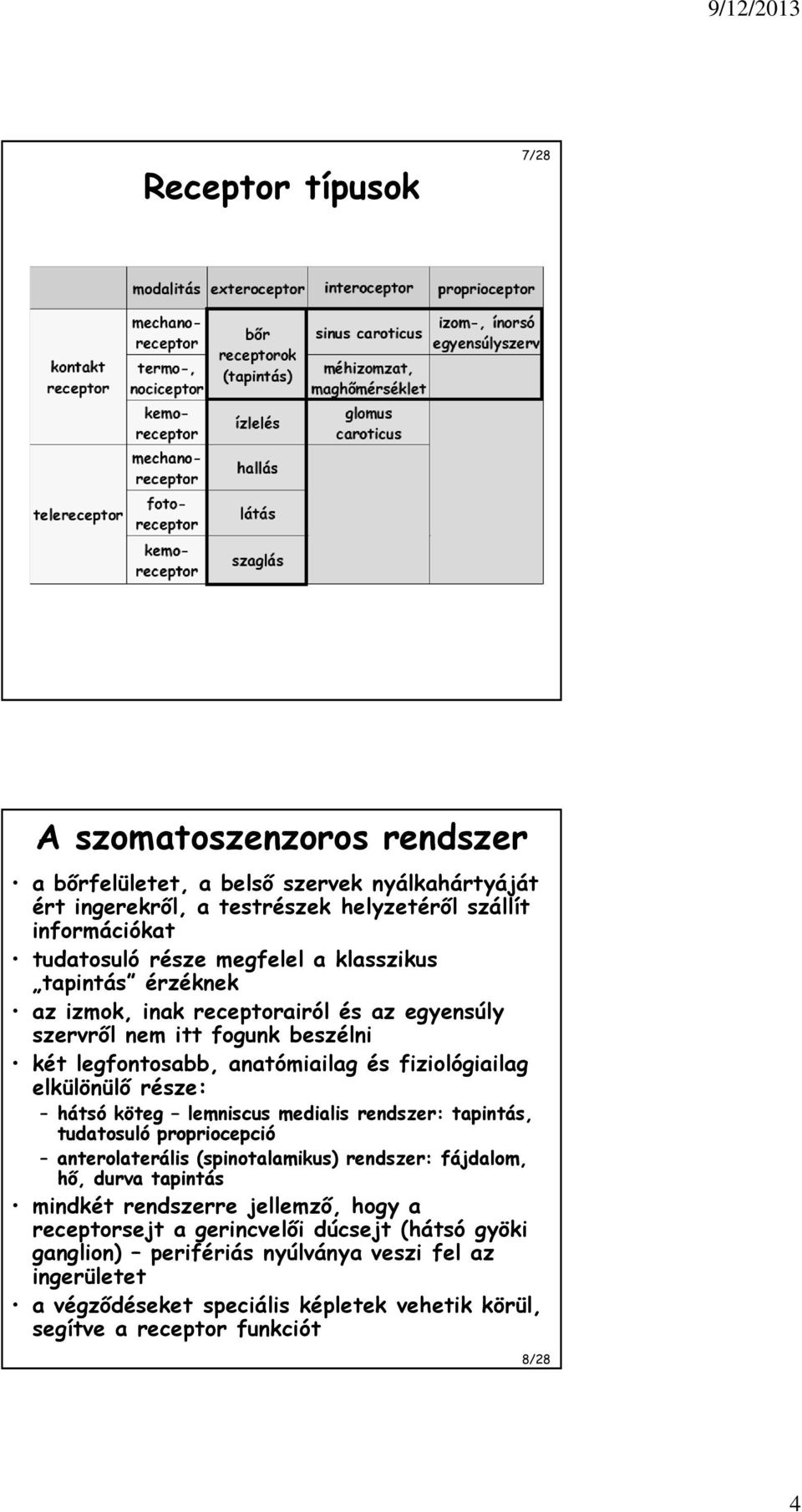 része: hátsó köteg lemniscus medialis rendszer: tapintás, tudatosuló propriocepció anterolaterális (spinotalamikus) rendszer: fájdalom, hő, durva tapintás mindkét rendszerre jellemző,