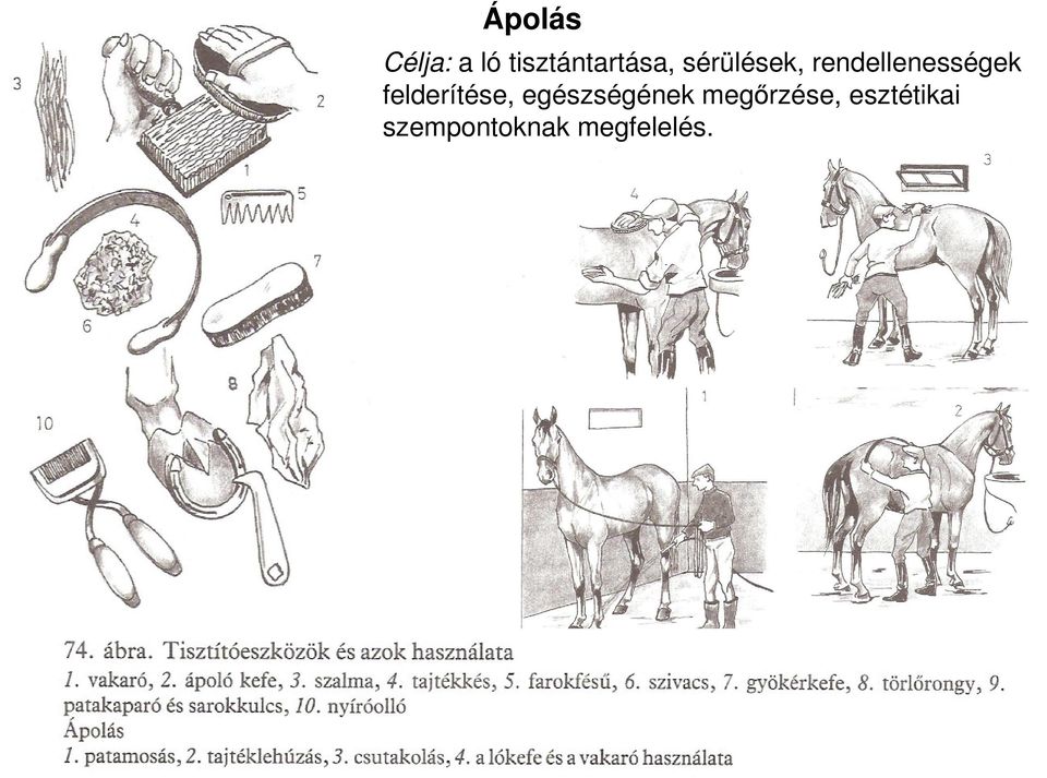 rendellenességek felderítése,