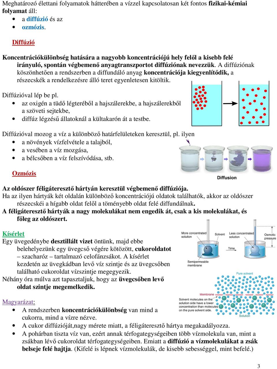 A diffúziónak köszönhetően a rendszerben a diffundáló anyag koncentrációja kiegyenlítődik, a részecskék a rendelkezésre álló teret egyenletesen kitöltik. Diffúzióval lép be pl.