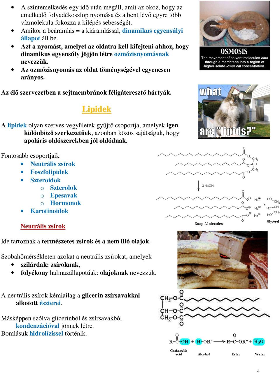 Az ozmózisnyomás az oldat töménységével egyenesen arányos. Az élő szervezetben a sejtmembránok féligáteresztő hártyák.