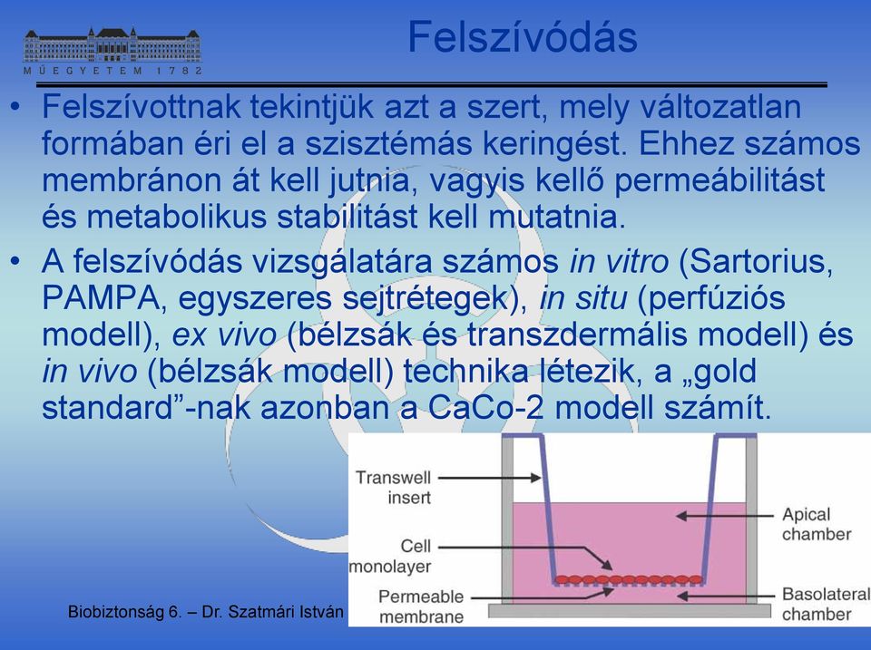 A felszívódás vizsgálatára számos in vitro (Sartorius, PAMPA, egyszeres sejtrétegek), in situ (perfúziós modell), ex vivo