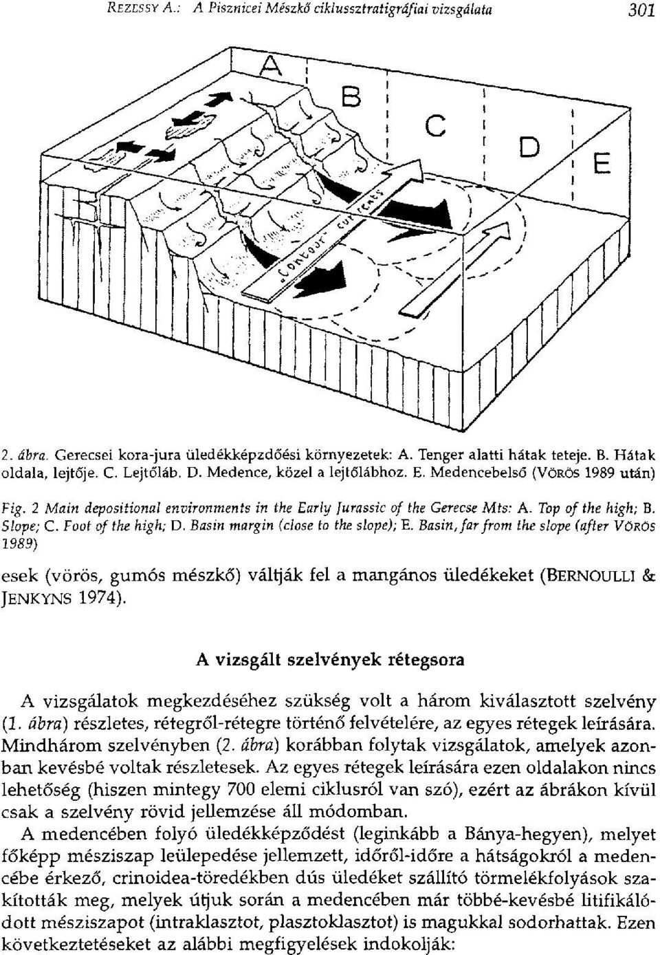 Basin margin (close to the slope); Е. Basin, far from the slope (after VÖRÖS 1Э89) esek (vörös, gumós mészkő) váltják fel a mangános üledékeket (BERNOULLI & JENKYNS 1974).