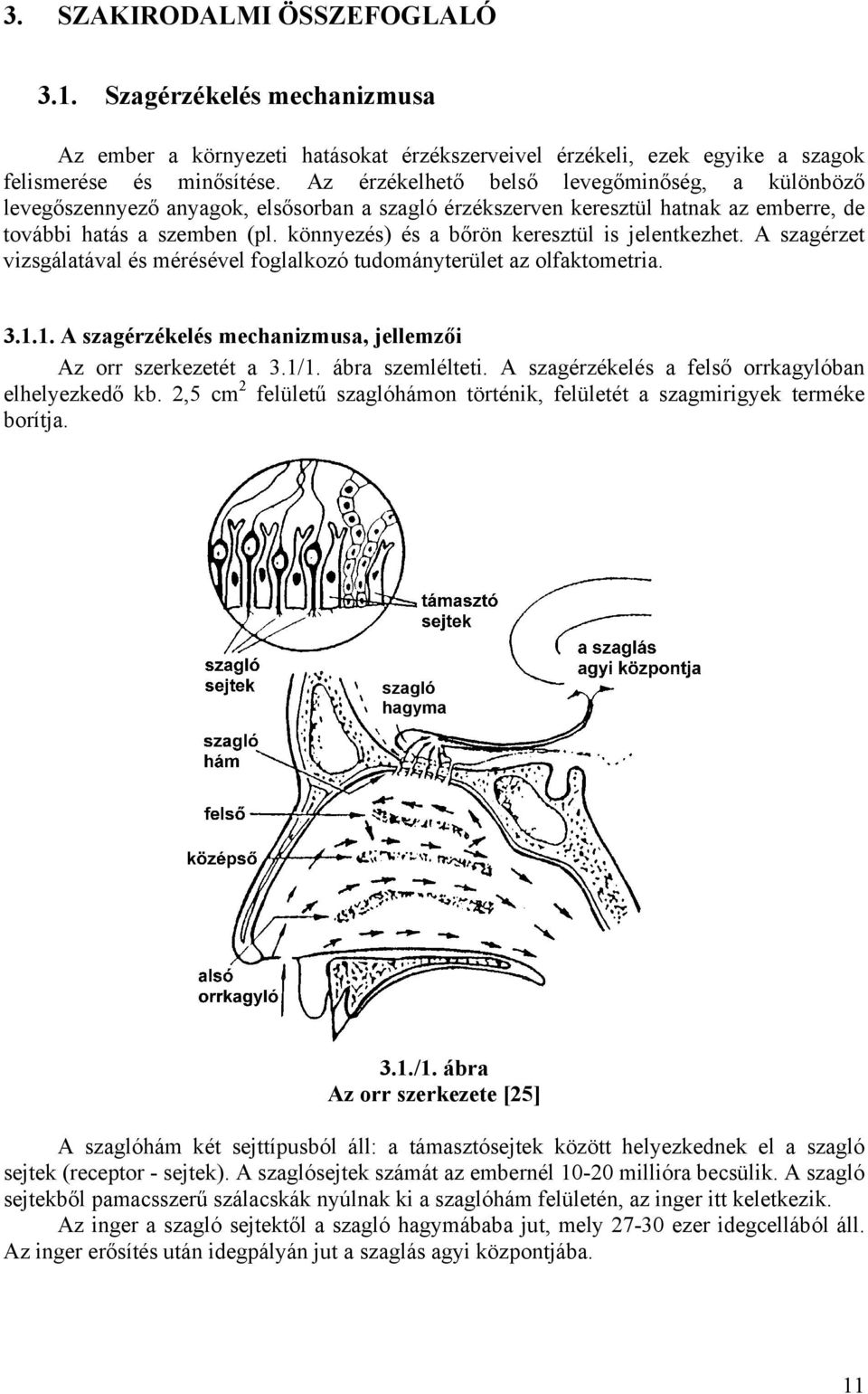 könnyezés) és a bőrön keresztül is jelentkezhet. A szagérzet vizsgálatával és mérésével foglalkozó tudományterület az olfaktometria. 3.1.