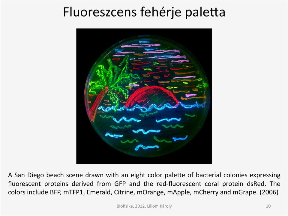 from GFP and the red- fluorescent coral protein dsred.
