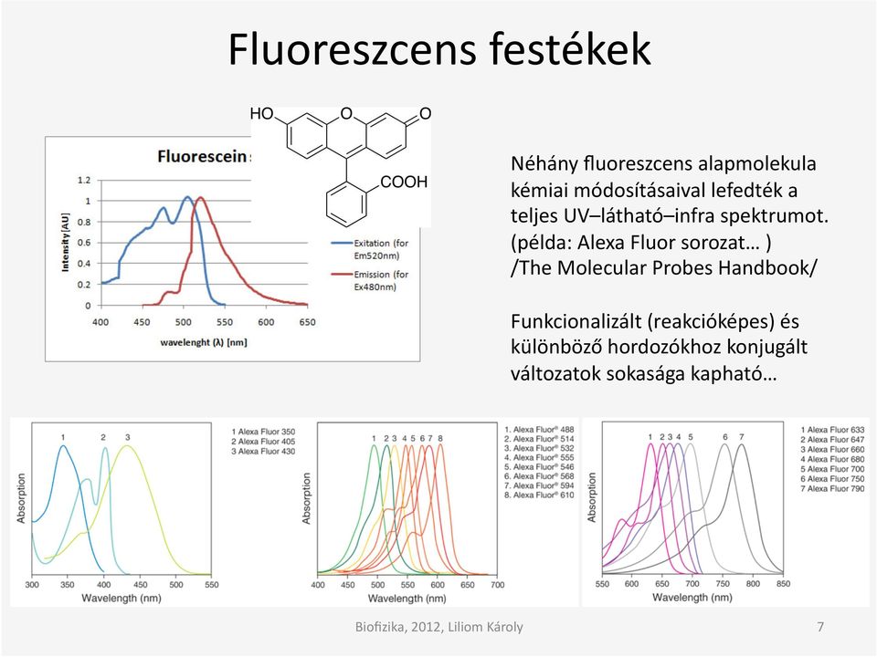 (példa: Alexa Fluor sorozat ) /The Molecular Probes Handbook/
