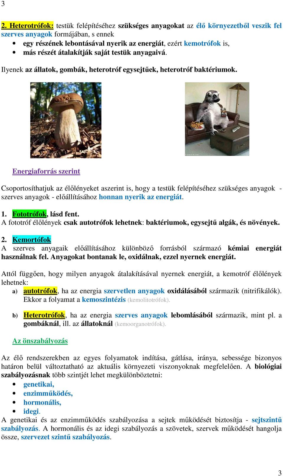 Energiaforrás szerint Csoportosíthatjuk az élőlényeket aszerint is, hogy a testük felépítéséhez szükséges anyagok - szerves anyagok - előállításához honnan nyerik az energiát. 1.