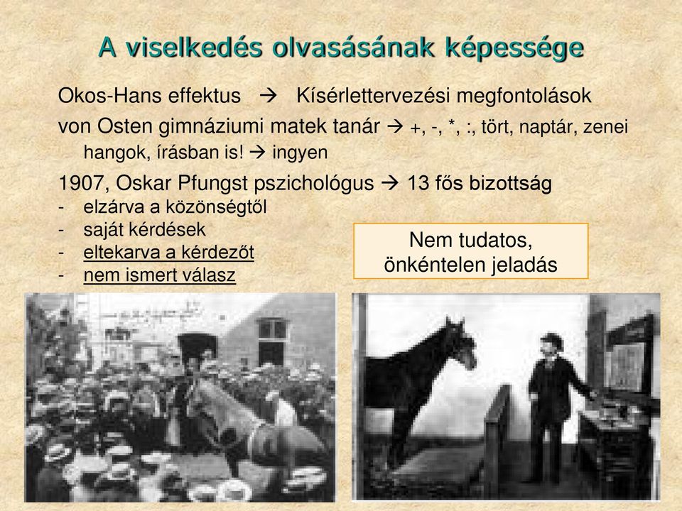 ingyen 1907, Oskar Pfungst pszichológus 13 fős bizottság - elzárva a közönségtől -