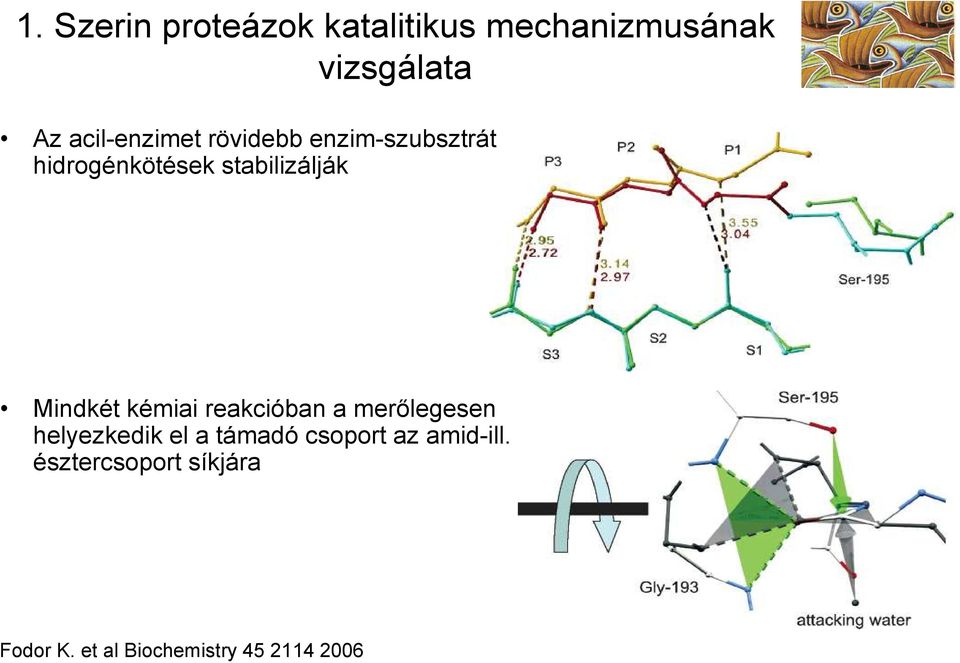 Mindkét kémiai reakcióban a merőlegesen helyezkedik el a támadó