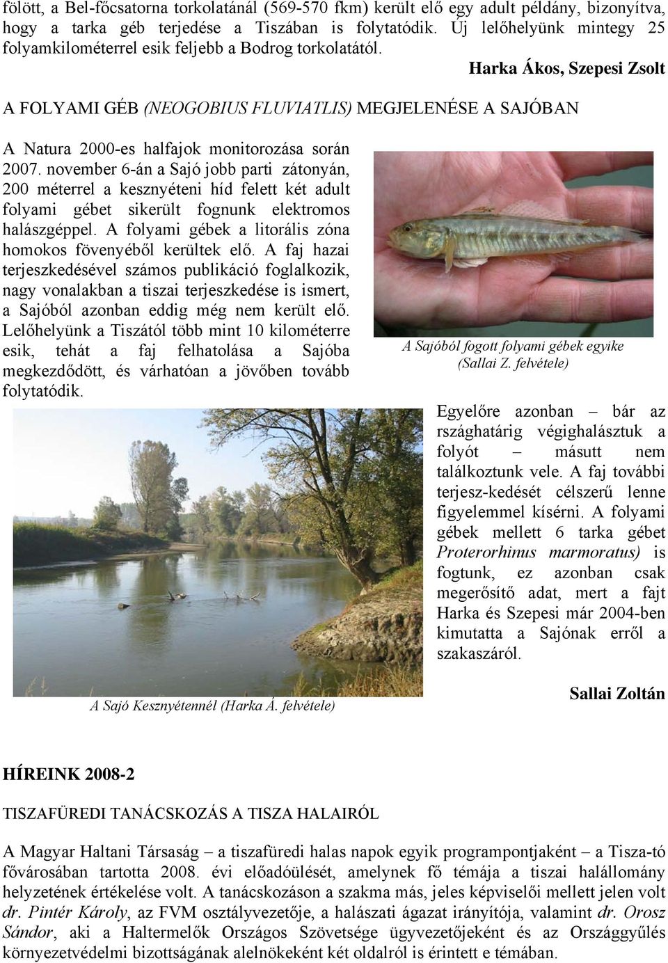 Harka Ákos, Szepesi Zsolt A FOLYAMI GÉB (NEOGOBIUS FLUVIATLIS) MEGJELENÉSE A SAJÓBAN A Natura 2000-es halfajok monitorozása során 2007.
