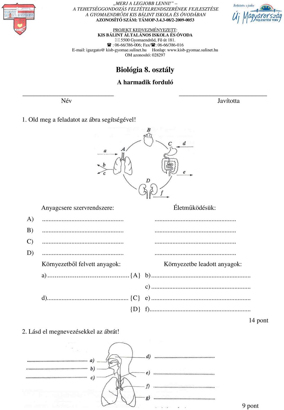 sulinet.hu Honlap: www.kisb-gyomae.sulinet.hu OM azonosító: 028297 Biológia 8. osztály A harmadik forduló Név Javította 1. Old meg a feladatot az ábra segítségével!