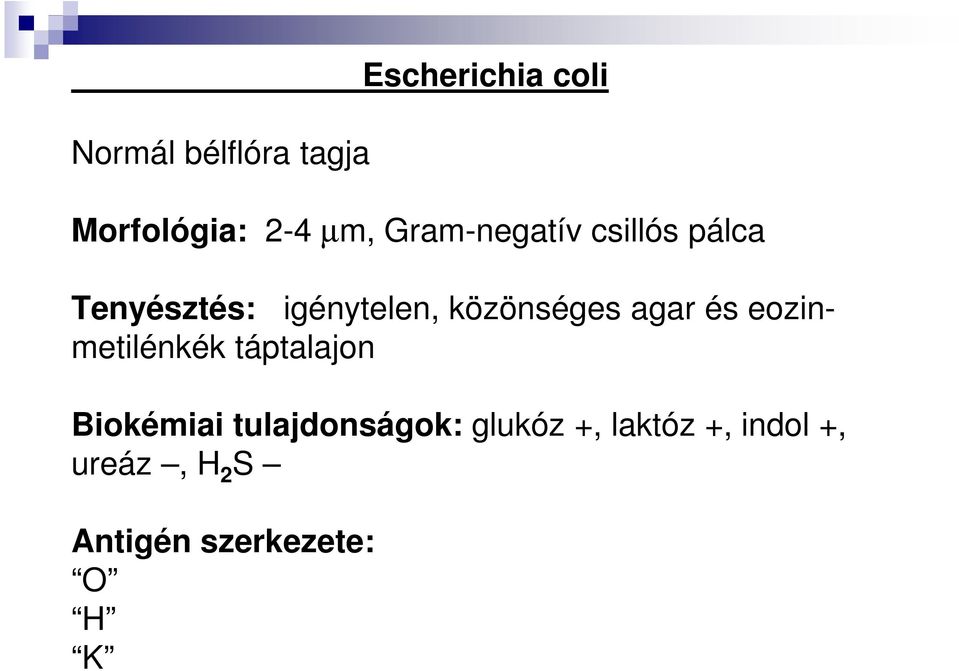 agar és eozinmetilénkék táptalajon Biokémiai tulajdonságok: