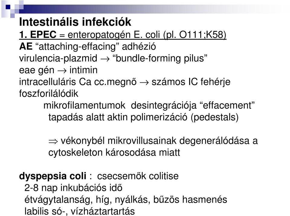 megnő számos IC fehérje foszforilálódik mikrofilamentumok desintegrációja effacement tapadás alatt aktin polimerizáció