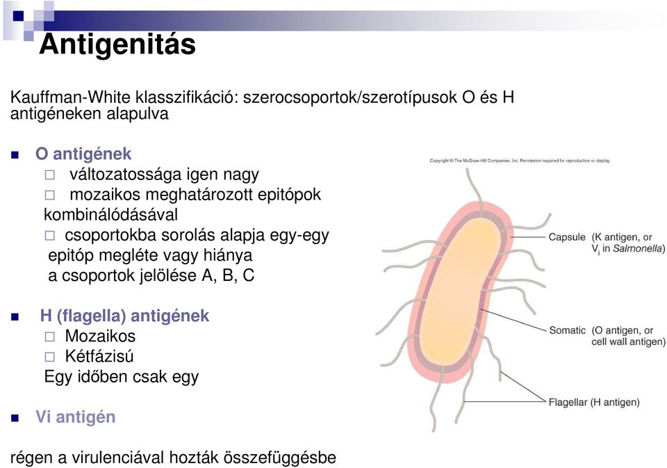 csoportokba sorolás alapja egy-egy epitóp megléte vagy hiánya a csoportok jelölése A, B, C H