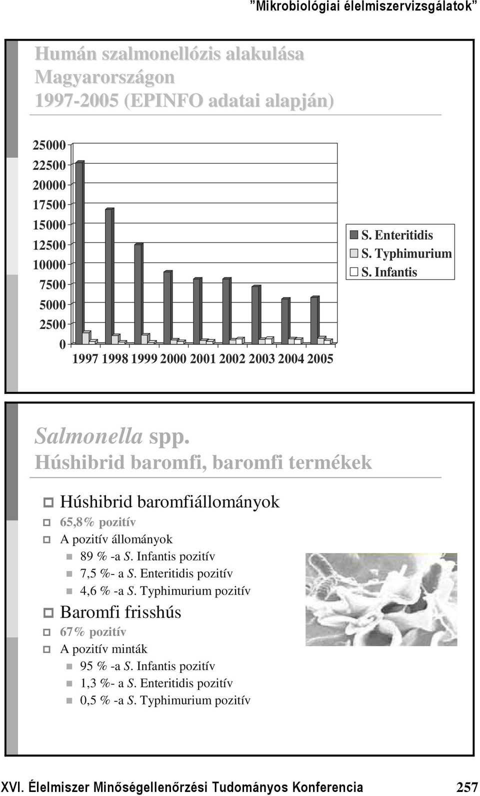 Húshibrid baromfi, baromfi termékek Húshibrid baromfiállományok 65,8% pozitív A pozitív állományok 89 % -a S. Infantis pozitív 7,5 %- a S.