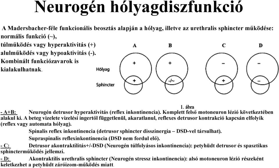 A beteg vizelete vizelési ingertől függetlenül, akaratlanul, reflexes detrusor kontrakció kapcsán elfolyik (reflex vagy automata hólyag).