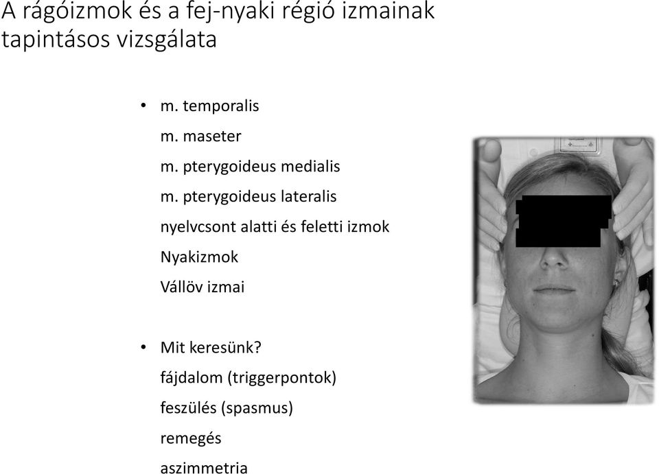 pterygoideus lateralis nyelvcsont alatti és feletti izmok Nyakizmok