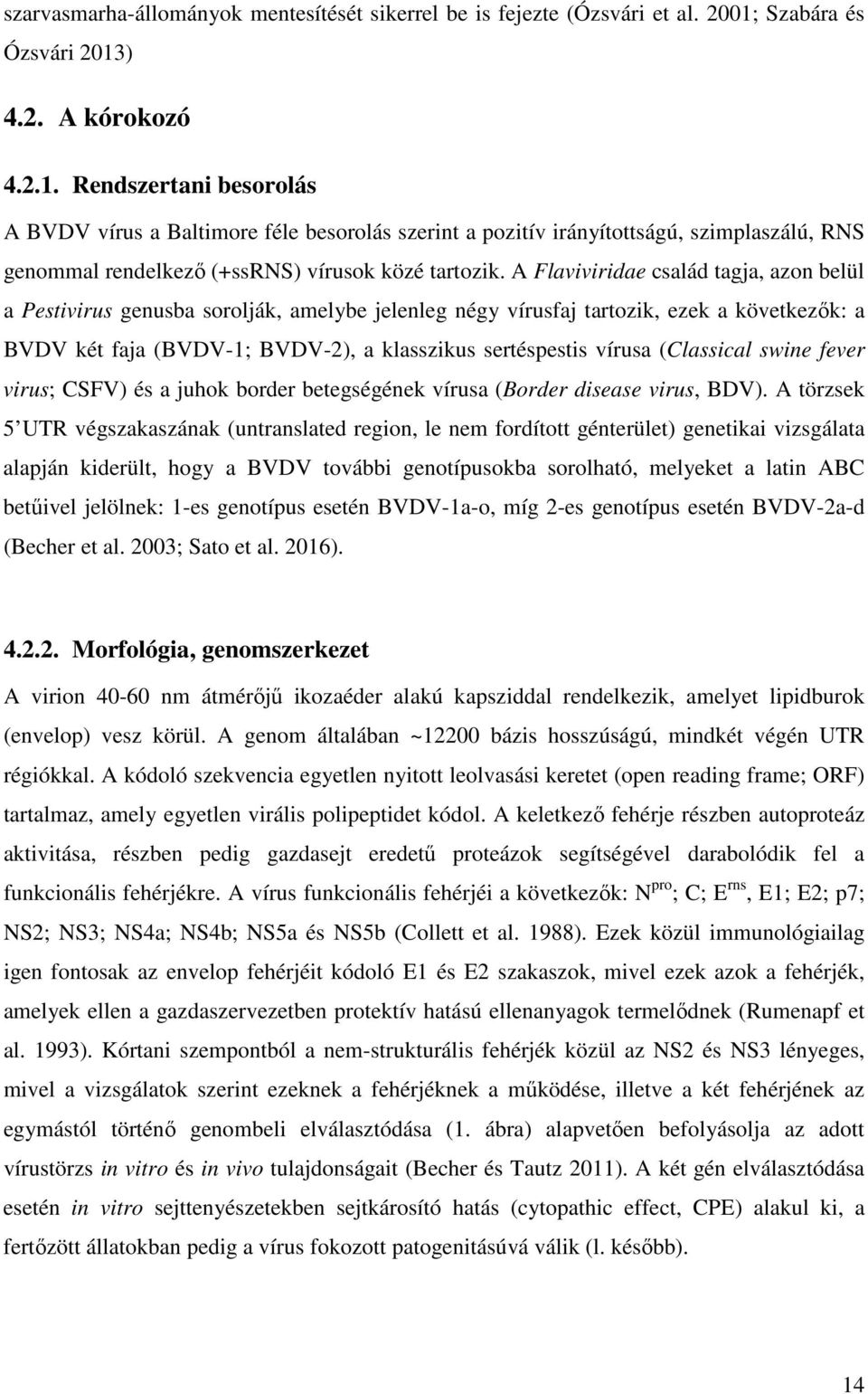 A Flaviviridae család tagja, azon belül a Pestivirus genusba sorolják, amelybe jelenleg négy vírusfaj tartozik, ezek a következők: a BVDV két faja (BVDV-1; BVDV-2), a klasszikus sertéspestis vírusa