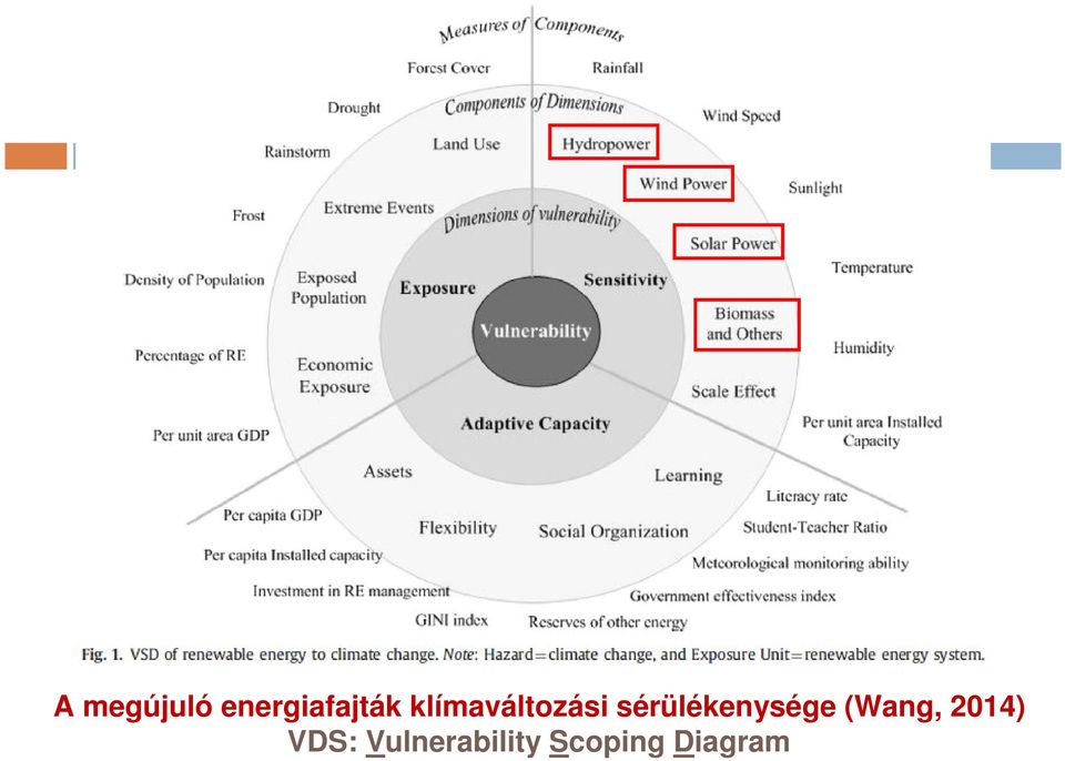 sérülékenysége (Wang,