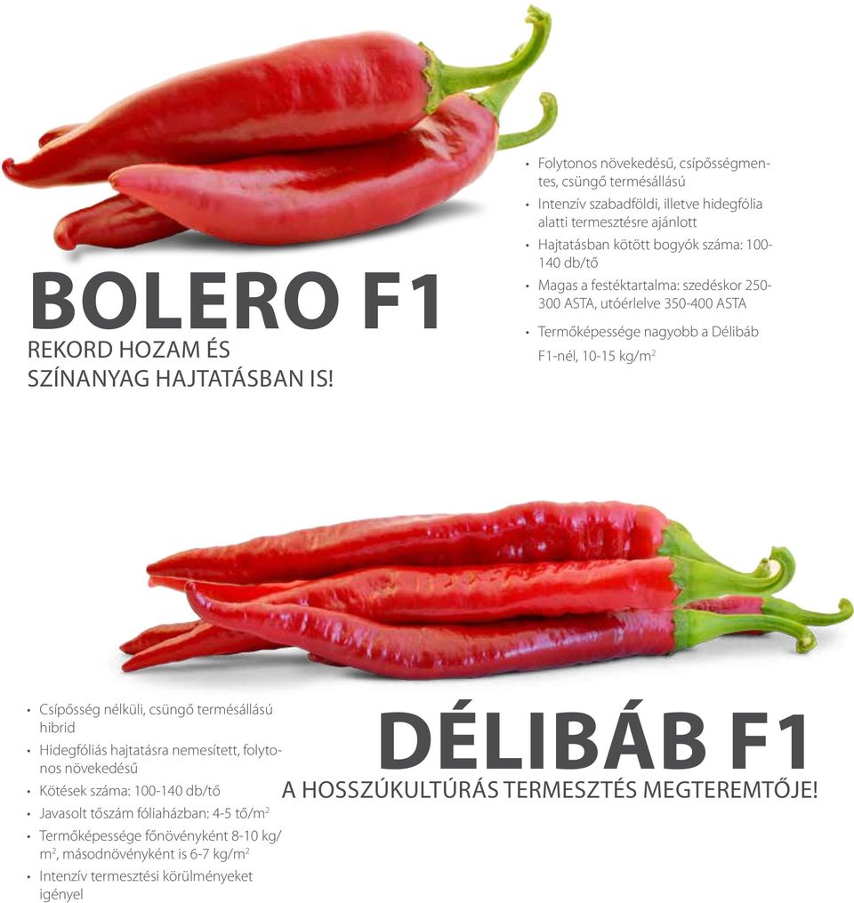 db/tő Magas a festéktartalma: szedéskor 250-300 ASTA, utóérlelve 350-400 ASTA Termőképessége nagyobb a Délibáb F1-nél, 10-15 kg/m 2 Csípősség nélküli, csüngő termésállású