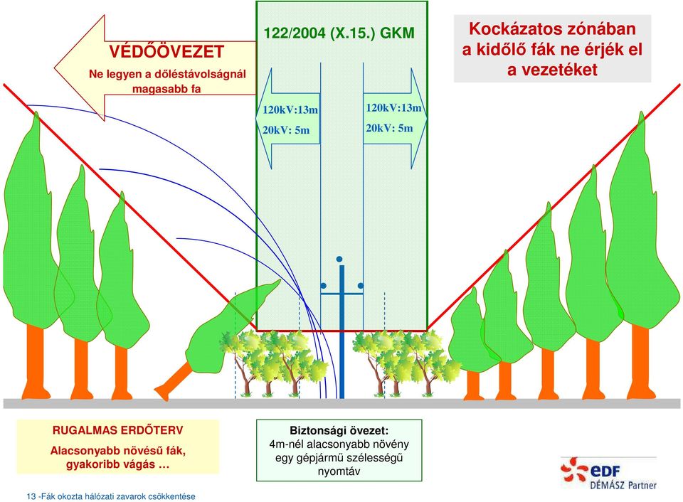 120kV:13m 20kV: 5m RUGALMAS ERDŐTERV Alacsonyabb növésű fák, gyakoribb vágás