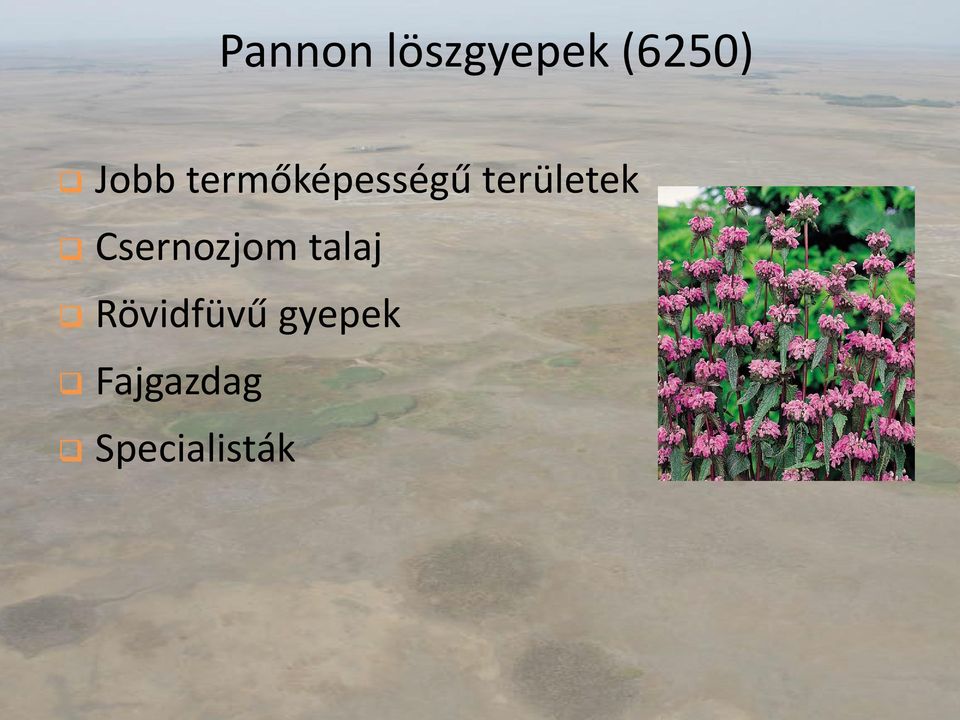 területek Csernozjom talaj