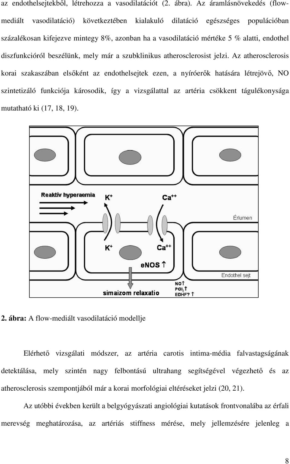 diszfunkcióról beszélünk, mely már a szubklinikus atherosclerosist jelzi.