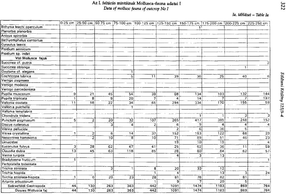 Bathyomphalus contortus Gyraulus laevis Pisidium amnicum Plsidium sp. indet Vfzi Mollusca fajok Succinea cf. putrts 2 Succinea oblonga 1 Oxyloma cf.