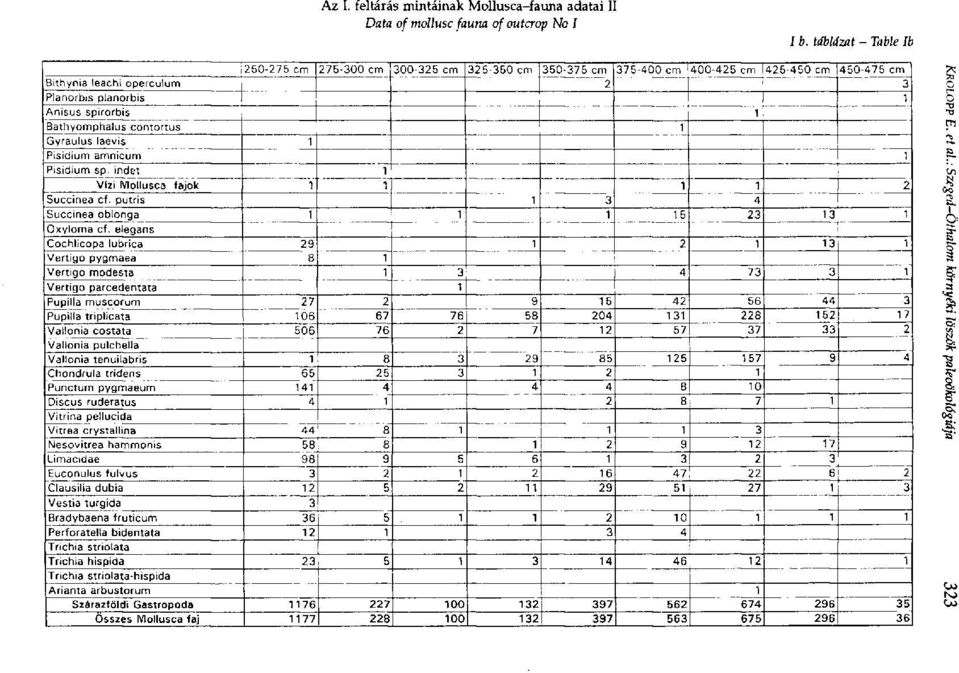 Bathyomphalus contortus 1 Gyraulus laevis 1 Pisidium amnicum 1 Pisidium sp. indet 1 Vizi Mollusca fajok 1 1 1 1 2 Succinea cf. putris 1 3 4 Succinea oblonga 1 1 1 15 23 13 1 Oxyloma cf.