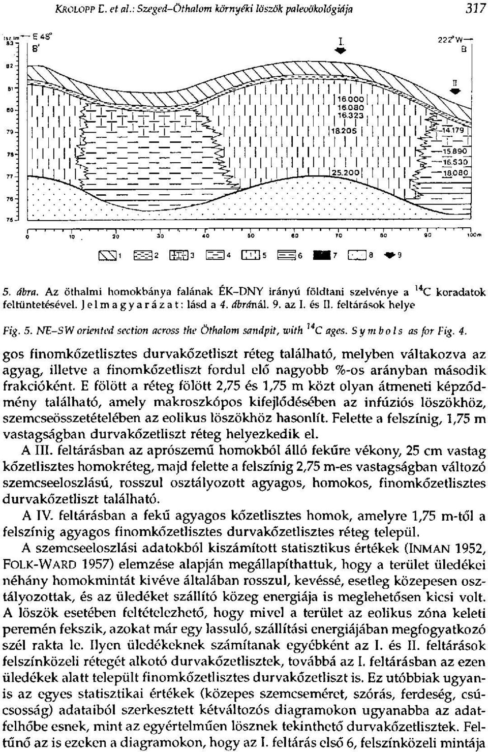 E fölött a réteg fölött 2,75 és 1,75 m közt olyan átmeneti képződmény található, amely makroszkópos kifejlődésében az infúziós löszökhöz, szemcseösszetételében az eolikus löszökhöz hasonlít.