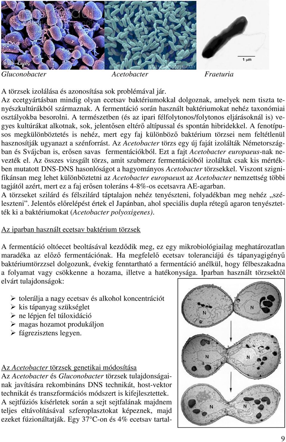 A természetben (és az ipari félfolytonos/folytonos eljárásoknál is) vegyes kultúrákat alkotnak, sok, jelentősen eltérő altípussal és spontán hibridekkel.