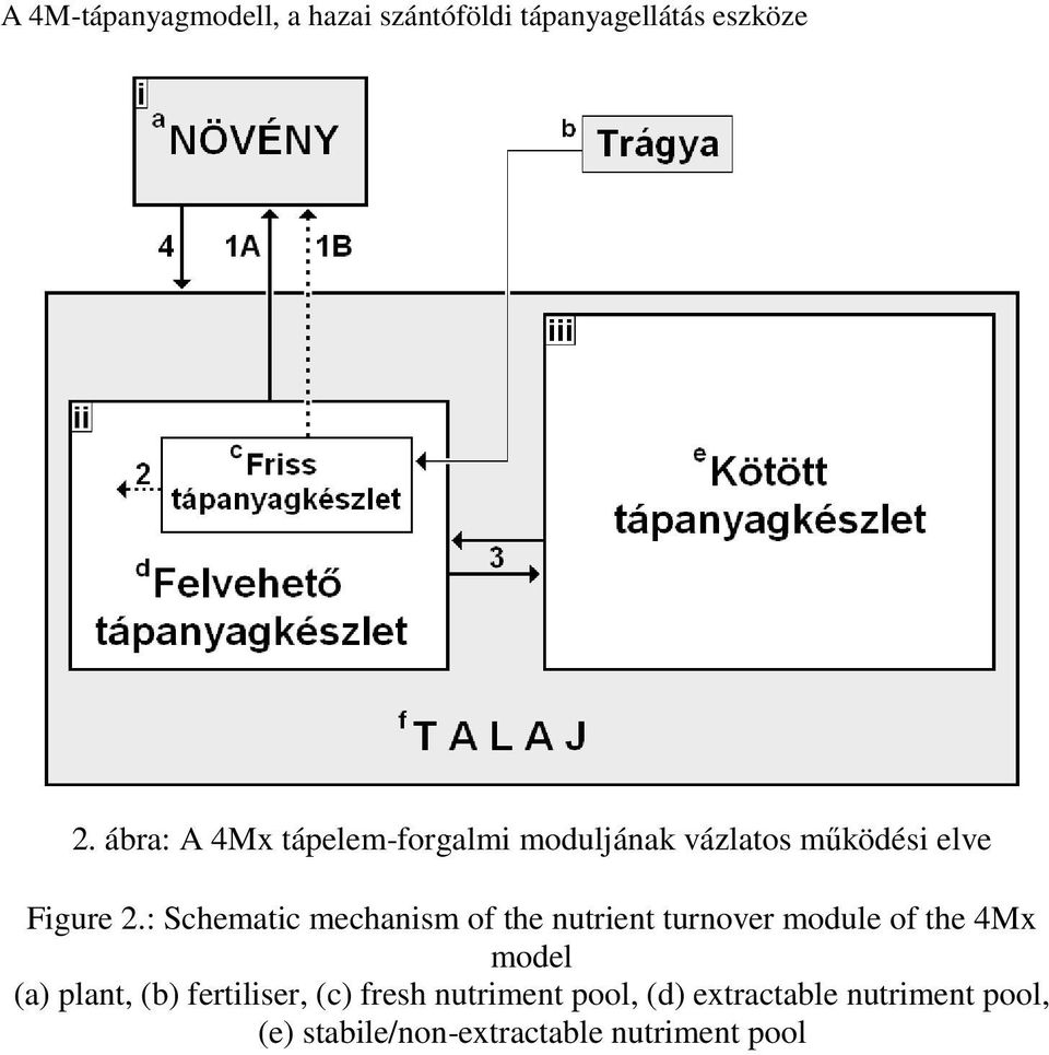 : Schematic mechanism of the nutrient turnover module of the 4Mx model (a) plant,
