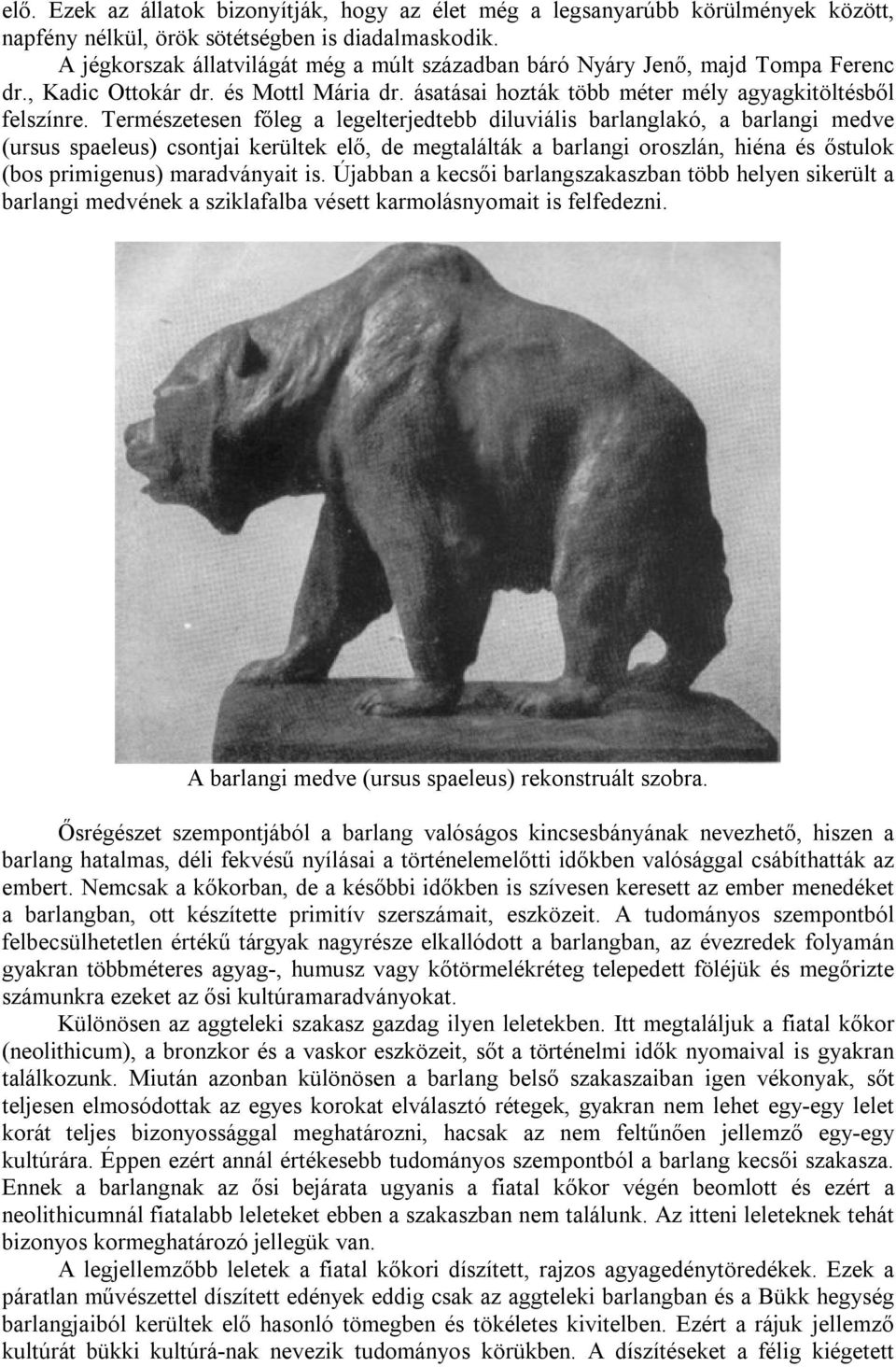 Természetesen főleg a legelterjedtebb diluviális barlanglakó, a barlangi medve (ursus spaeleus) csontjai kerültek elő, de megtalálták a barlangi oroszlán, hiéna és őstulok (bos primigenus)