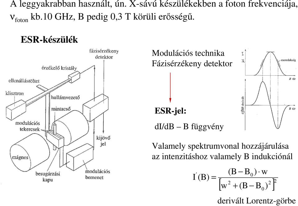 ESR-készülék Modulációs technika Fázisérzékeny detektor ESR-jel: di/db B függvény