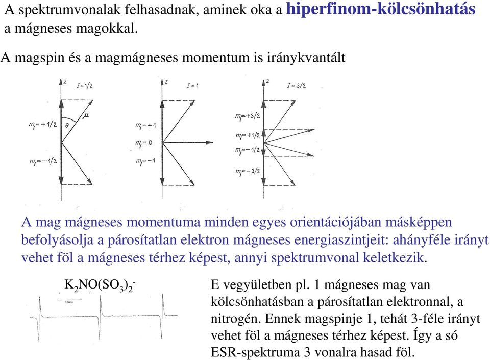 elektron mágneses energiaszintjeit: ahányféle irányt vehet föl a mágneses térhez képest, annyi spektrumvonal keletkezik.