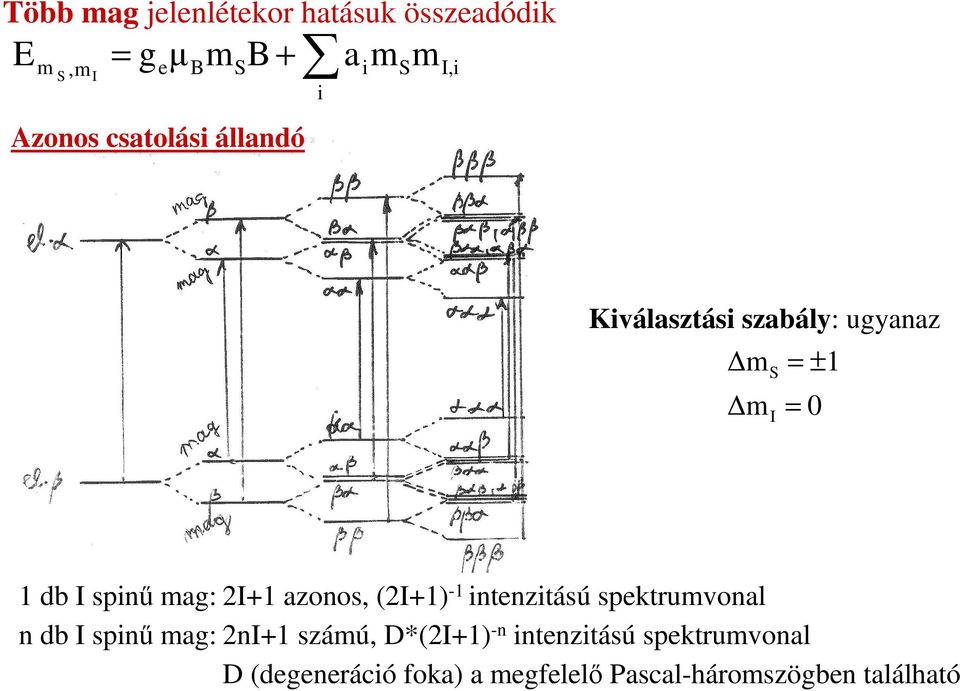 mag: 2I+1 azonos, (2I+1) -1 intenzitású spektrumvonal n db I spinő mag: 2nI+1 számú,