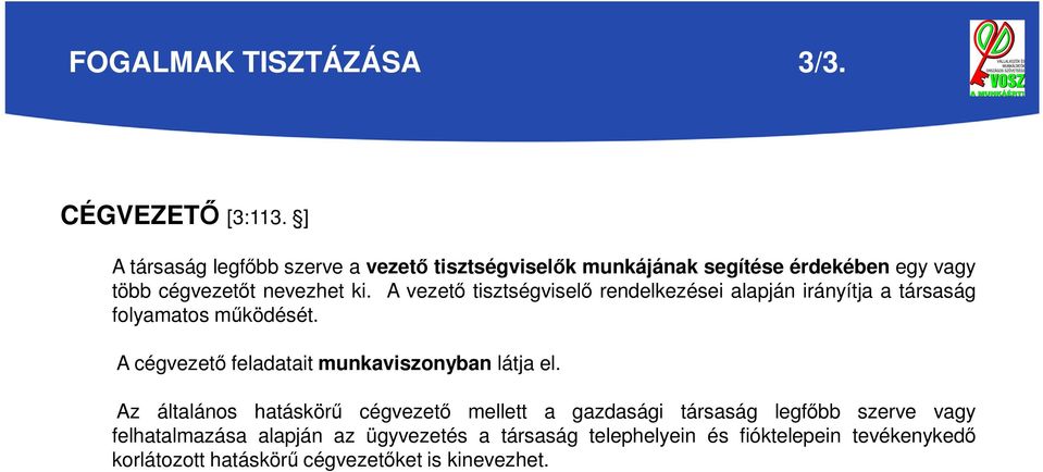 A vezető tisztségviselő rendelkezései alapján irányítja a társaság folyamatos működését.