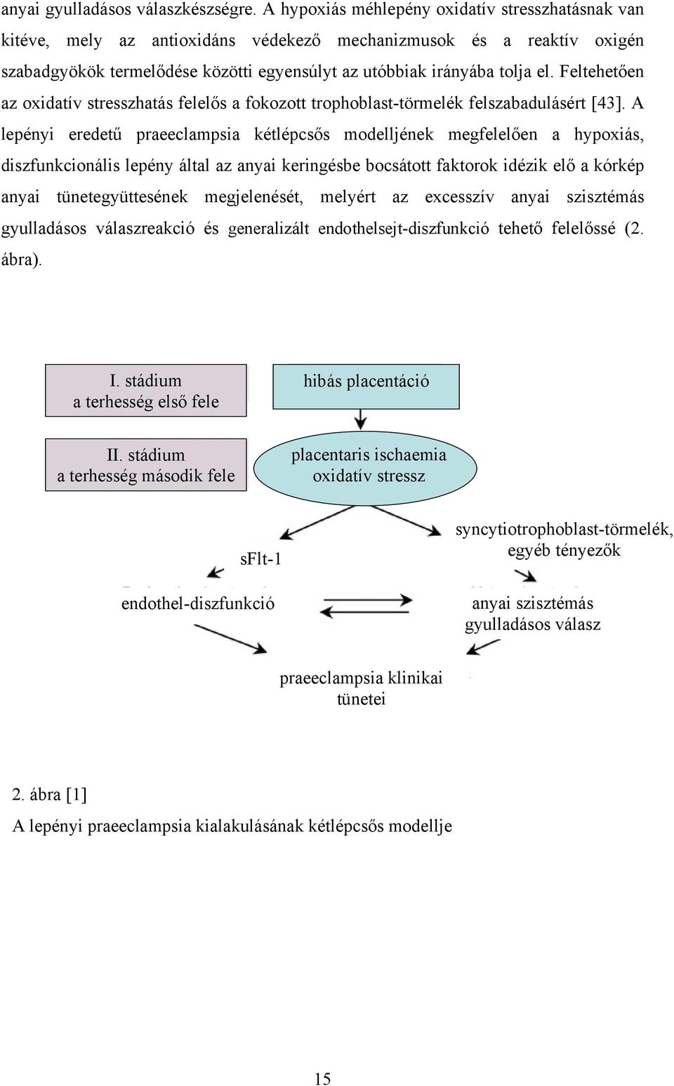 Feltehetően az oxidatív stresszhatás felelős a fokozott trophoblast-törmelék felszabadulásért [43].