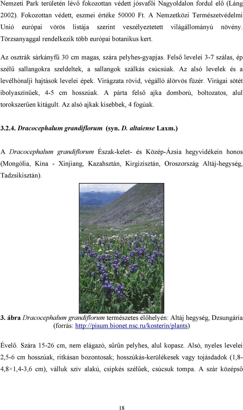 Az osztrák sárkányfű 30 cm magas, szára pelyhes-gyapjas. Felső levelei 3-7 szálas, ép szélű sallangokra szeldeltek, a sallangok szálkás csúcsúak.