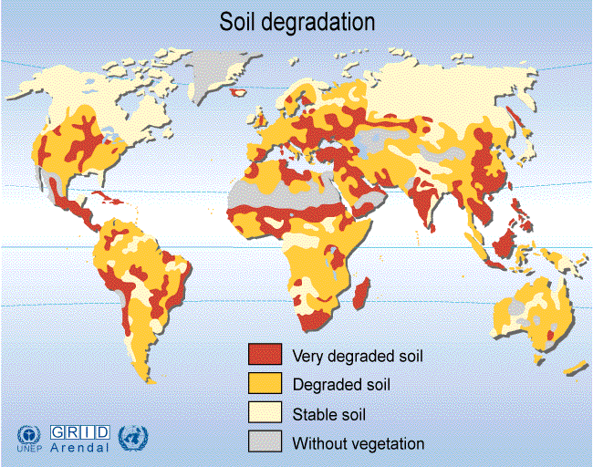 Talajdegradáció, talajromlás Szűkebb értelemben: a talaj termőképességének csökkenése Tágabb értelemben: a talaj fizikai, kémiai és biológiai tulajdonságainak kedvezőtlen irányú megváltozása a