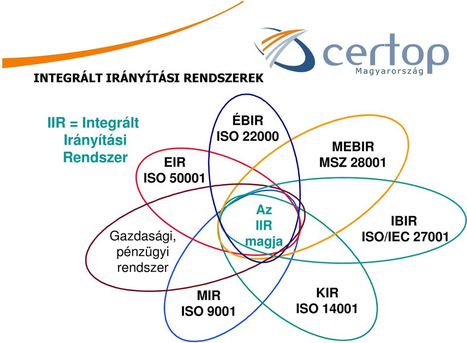 MEBIR MSZ 28001 Gazdasági, pénzügyi rendszer Az