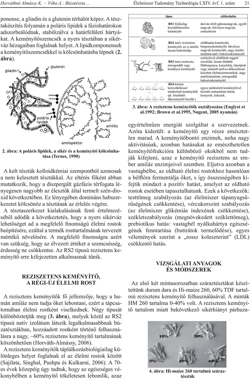 A lipidkomponensek a keményítőszemcsékkel is kölcsönhatásba lépnek (2. ábra). 2.