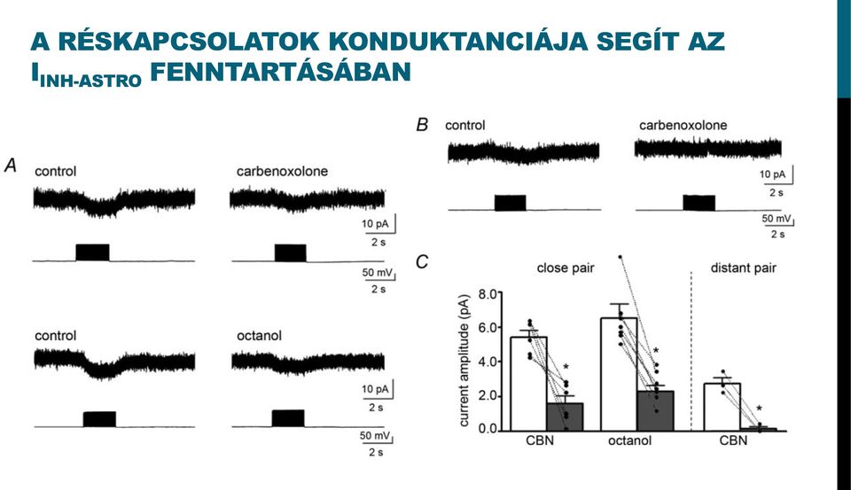 SEGÍT AZ I